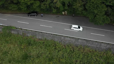 Rural Road In Forest Stock Footage 95628659