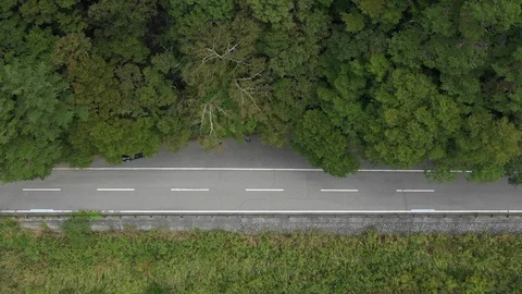 Rural Road In Forest Stock Footage 95628712