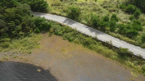 Rural Road In Forest Stock-Footage 95629469