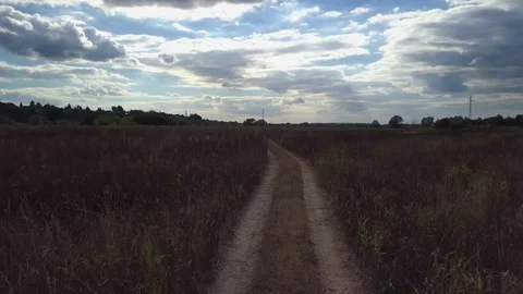 Rural road goes to the river Stock Footage 79671129