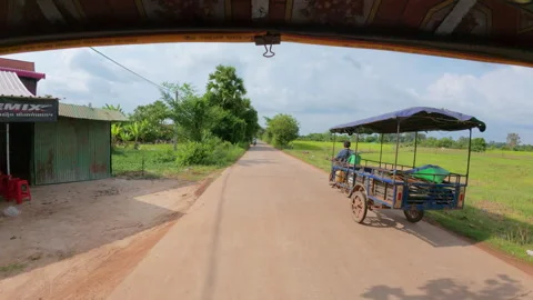 Rural road lined with greenery and fields Stock Footage 310954501