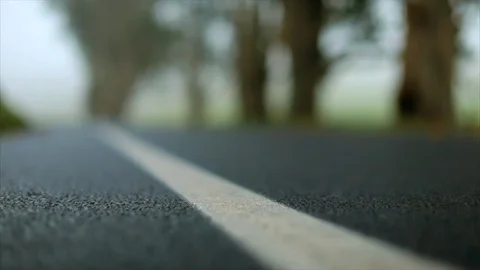 Rural road lined with trees. Stock Footage 88407213