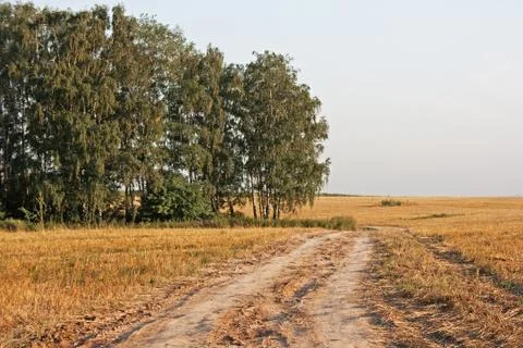 Rural road Stock Photos