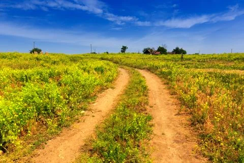 Rural road Stock Photos