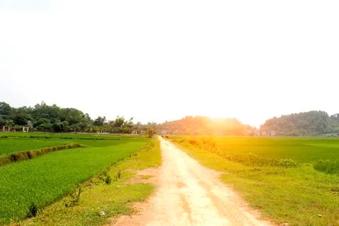 Rural road Stock Photos