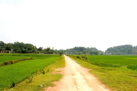 Rural road Stock Photos