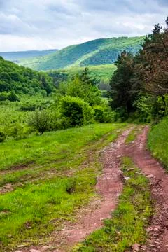 A rural road Stock Photos