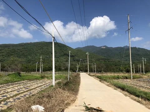 Rural road Stock Photos