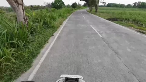 Rural road scene passing through plantations in Pati district, Central Java Video stock 335118982