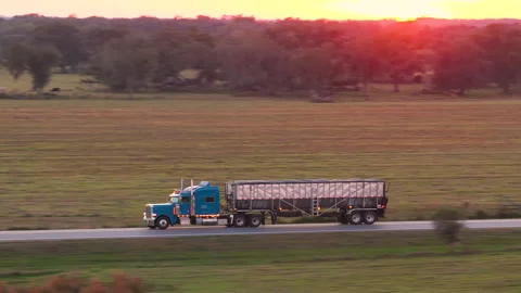 Rural road at sunset with big rig semi truck hauling goods at high speed Stock Footage 334739148