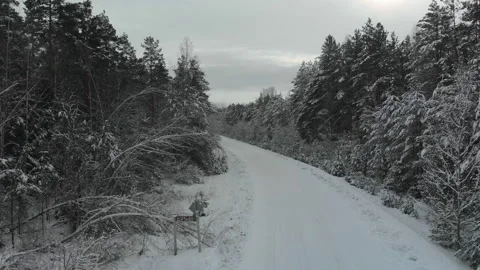 Rural road through a coniferous forest after a snow storm Stock Footage 157117202