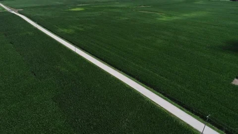 Rural Road through Corn Fields in Summer Indiana Drone Aerial View Stock Footage 144039950