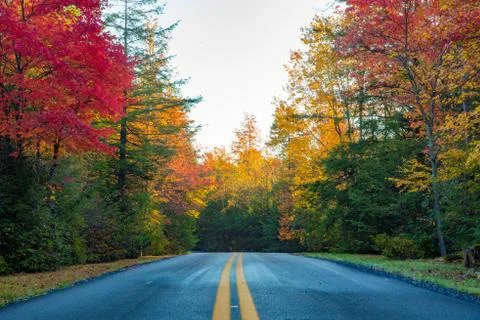Rural road through Fall Foliage Stock Photos
