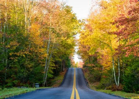 Rural road through Fall Foliage Stock Photos