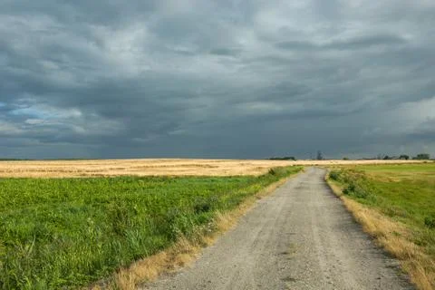 Rural road through fields and cloudy sky Stock Photos