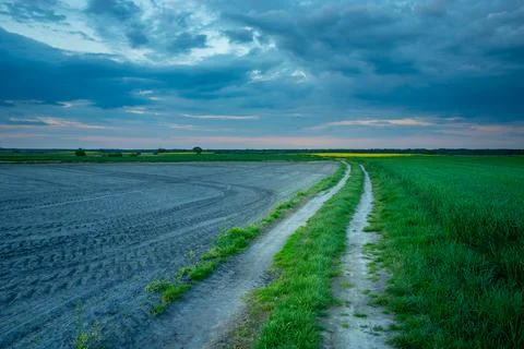 Rural road through the fields in eastern Poland Stock Photos