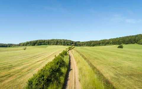 Rural road through fields with forest in distance near Limburg, The Netherlands. Foto stock