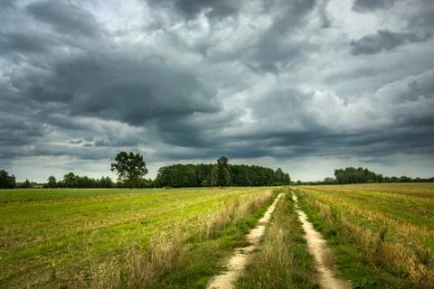 Rural road through fields, trees and clouds on the sky Stock Photos