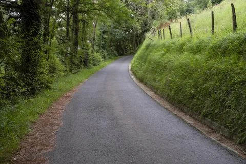 Rural road through the forest, Basque Country, Andoain, Spain Stock Photos