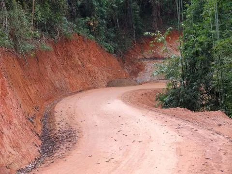 A rural road through a forest Stock Photos