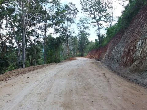 A rural road through a forest Stock Photos