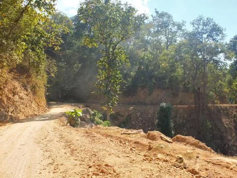 A rural road through a forest Stock Photos