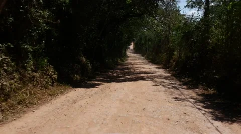 Rural road through green fields in Brazil 스톡 동영상 68524188