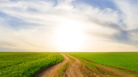 Rural road through a green fields Stock Footage 340885156