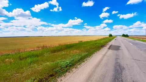 Rural road through a meadow Stock Footage 220445043