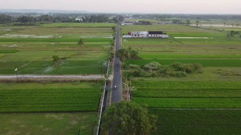 Rural road through rice fields with motorcycle Stockbeeldmateriaal 341547311