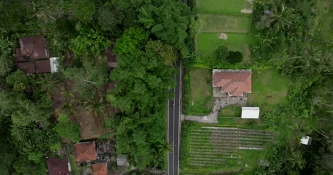Rural road top view surrounded by lush greenery in Asia Vídeo Stock 276395244