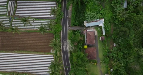 Rural road top view surrounded by lush greenery in Asia Stock Footage 276451422