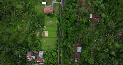 Rural road top view surrounded by lush greenery in Asia Stock Footage 276911504