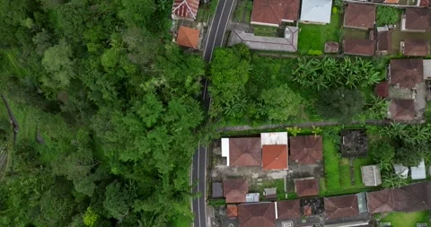 Rural road top view surrounded by lush greenery in Asia Stock Footage 277028813
