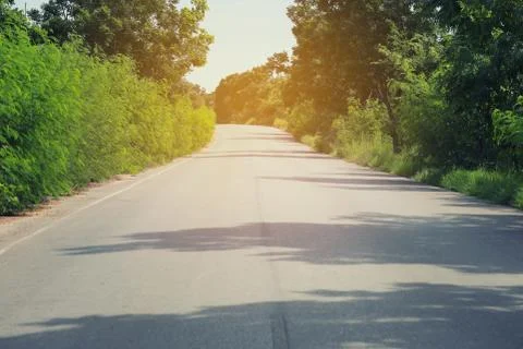 Rural road with trees. Stock Photos