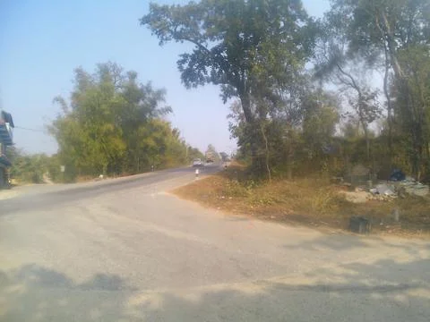 Rural road with trees on side. Stock Photos
