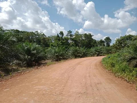 Rural road view 스톡 사진
