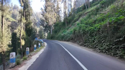 Rural road winds through dense greenery Stock Footage 345194632