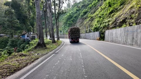 Rural road winds through lush green hills Vidéo 345143299