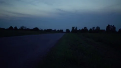 Rural Roadside, Dusk Stock Footage 71632020