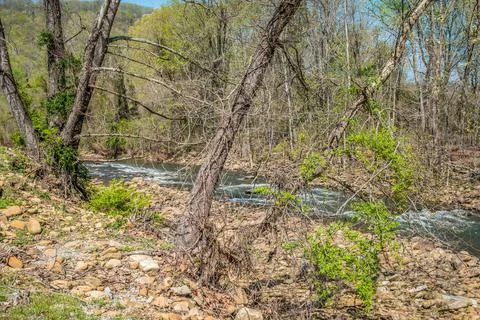 Rural roadside river Stock Photos
