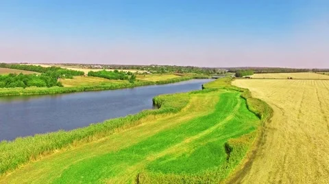 Rural, rustic landscape with river and wheat fields in summer day. Vidéo 57131712