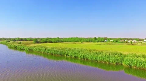 Rural, rustic landscape with river and wheat fields in summer day. Video stock 57132027