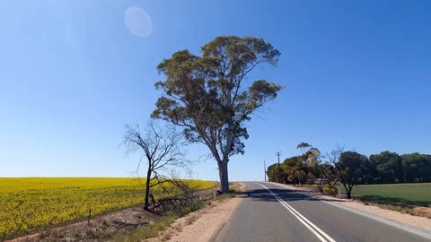 Rural SA Driving Vídeos de archivo 343115171