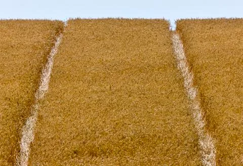 Rural Saskatchewan Stock Photos