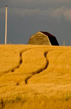 Rural Saskatchewan Stock Photos