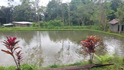 Rural Scene (1) Video stock 282762896