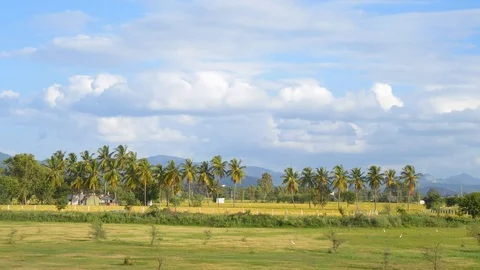 Rural scene of clouds crossing over green lands with trees and plants, India 動画素材 111304072