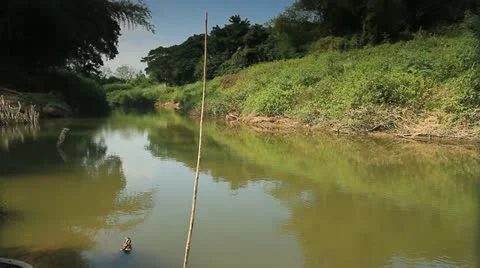 Rural scene. Stock Footage 19956618
