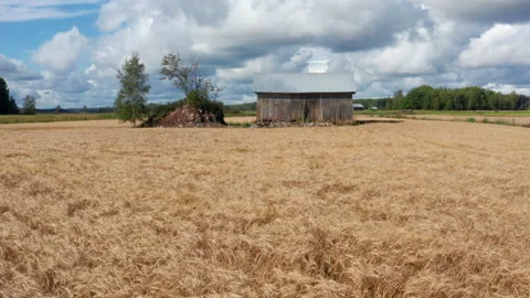 Rural scene Stock Footage